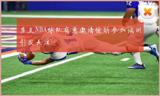 多支NBA球队有意邀请徐昕参加试训引发关注